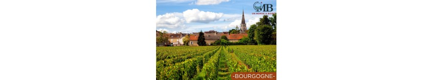 Vins de Bourgogne - Sélection Exclusive de Vins Régionaux