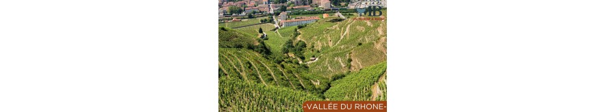 Vins de la Vallée du Rhône | UN MONDE A BOIRE