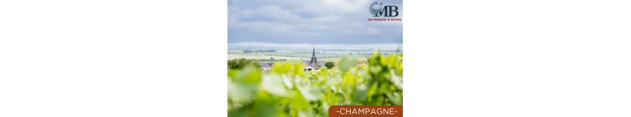 Champagne | UN MONDE À BOIRE